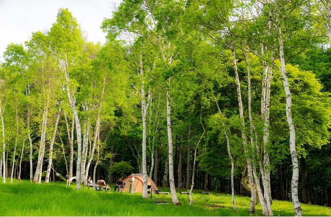 【HUNTER MOUNTAIN CAMPING PARK】 5 サイト限定「プレミアムキャンプエリア」7/27（ 土 ）オープン！
