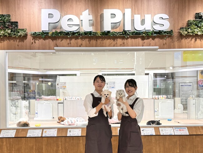 株式会社ＡＨＢ、子犬・子猫の食事にフレッシュペットフードを！