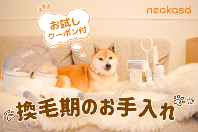 換毛期に乗り切る！抜け毛の対策方法は？飼い主さんができるお手入れ！