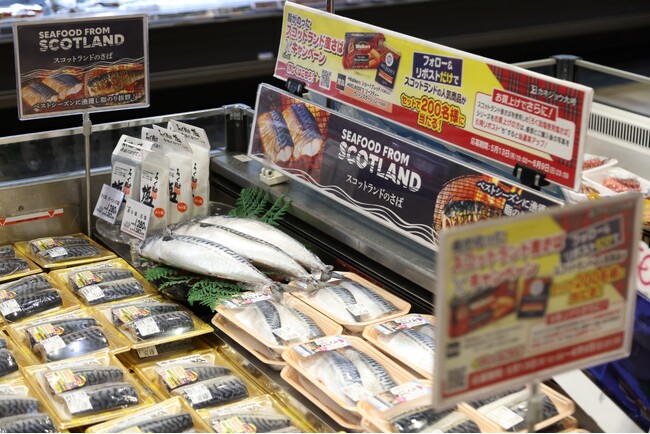 今年もイオンでスコットサバ