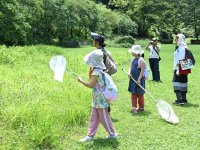 小峰公園で「夏のチョウをさがそう!」7月20日(土)開催!