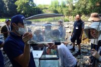 小峰公園「昔ながらの魚釣り」7月28日(日)参加者募集中!