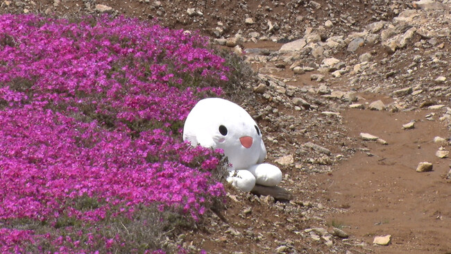 史上初！？ドローンで繋ぐ襷レース、ドローン駅伝2024開幕！＜6/22(土)10:30～＞