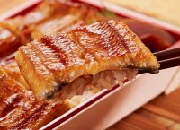 近鉄百貨店がプロデュースするうなぎ専門店が新たに登場！肉厚な浜名湖産うなぎにこだわった、全国初登場のオリジナルブランド「うなぎ屋 ハレルヒ」７月３日（水）あべのハルカスにオープン