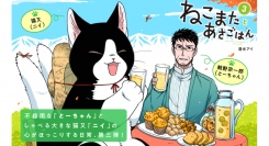 【新刊発売！】不器用な「とーちゃん」としゃべる猫又「ニイ」が紡ぐ、おいしい日常物語『ねこまたとあさごはん』。待望の第３巻が６月19日発売！！