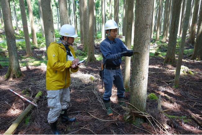 山林のプロが運営する山林売買物件の情報サイト「山いちば」が東京オフィスを2024年8月1日に開設
