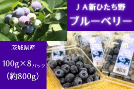 茨城県産「ブルーベリー」 茨城県産「ブルーベリー」