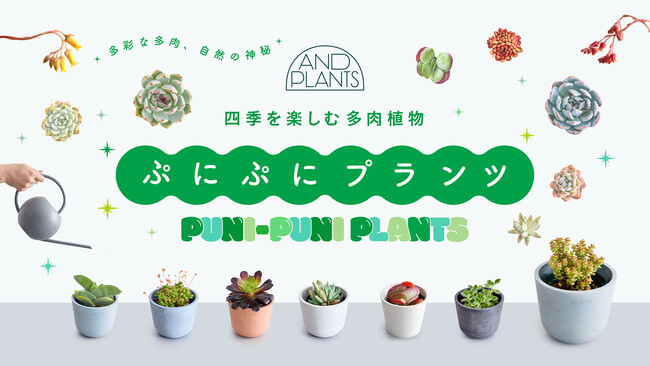 アンドプランツ、新カテゴリーとして「多肉植物」が登場！個性的な色や形と”ぷにぷに”の肉厚を楽しめる、多肉植物の新商品19種を6月20日（木）より発売