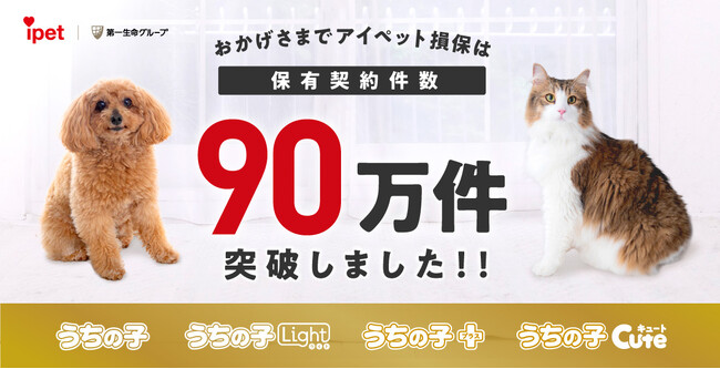 保有契約件数が90万件を突破！