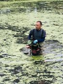 睡蓮で覆われた池 睡蓮で覆われた池