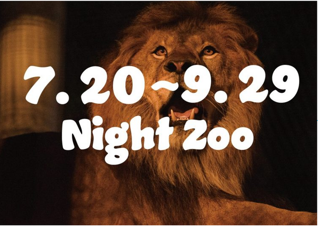 のんほいパーク ナイトZOO開催決定！【夜】×【動物園＆博物館＆植物園＆遊園地＆グルメ】…ドキドキワクワクの７０周年スペシャルイヤーのナイトＺＯＯをお楽しみに！