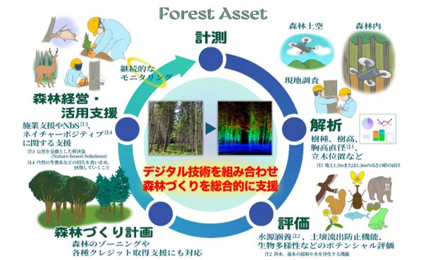 デジタルで森林づくりを総合支援！