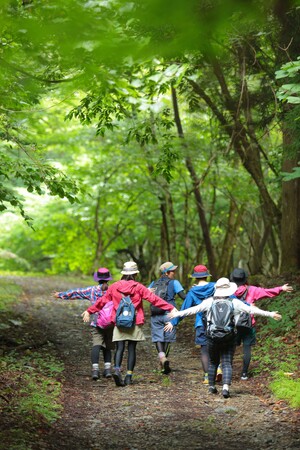 宍粟市の森林セラピーでリフレッシュ　豊中市民限定でマチカネポイント付与