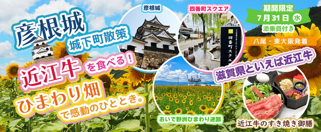 〈東大阪・八尾 発着〉7月31日(水) お一人様13,800円！彦根城城下町散策と近江牛を食べる!!️ひまわり畑で感動のひととき。〈添乗員付き〉日帰りバスツアー