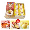 隠れプリンタルトセット 隠れプリンタルトセット