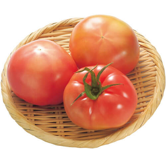【６月は環境月間】家庭から出た「野菜くず」からつくった有機肥料で栽培「会員さんと一緒につくったエコなトマト」らでぃっしゅぼーやから販売（6/24～）
