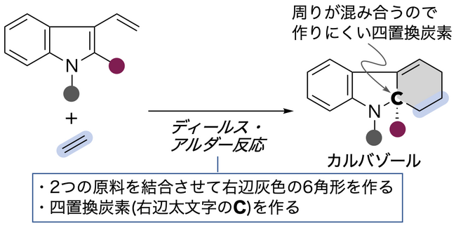 新薬開発に役立つ複雑な化合物の1工程合成に成功　～ランタノイドが拓く創薬と環境の未来～