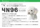 4N96(シンクロ)とは 4N96(シンクロ)とは