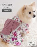 新作「牡丹と薔薇」コーラル 新作「牡丹と薔薇」コーラル