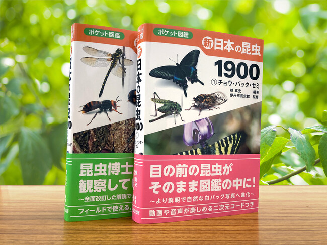愛読者絶賛の昆虫図鑑がリニューアルして帰ってきた！音声も動画も楽しめる『ポケット図鑑 日本の昆虫1900』今夏発売！