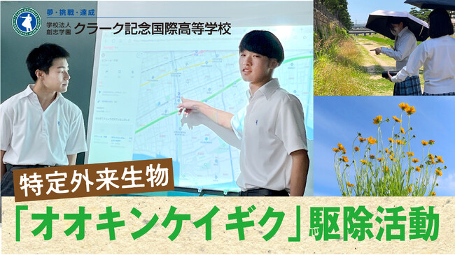 クラーク記念国際高等学校の連携校、専修学校クラーク高等学院芦屋校で、高校生が特定外来生物「オオキンケイギク」の駆除活動を7月4日に実施。