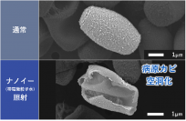 夏に咳？カビが原因？　病原カビ※1をナノイー（帯電微粒子水）技術で99％殺菌