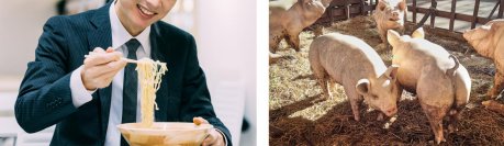 「さがみはらSDGsパートナー」のFUJIOH ※1　相模原事業所の食堂から排出される食品廃棄物を約7割削減。