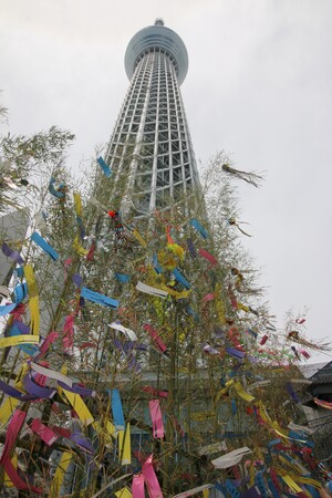 東京スカイツリータウン(R)七夕イベント