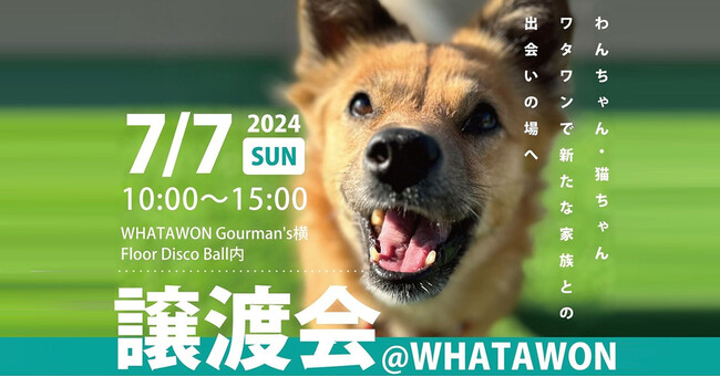 【WHATAWON(ワタワン)】が『出会いの場』へ。保護されたわんちゃん猫ちゃんの新しい家族を見つけるため、譲渡会を開催します！