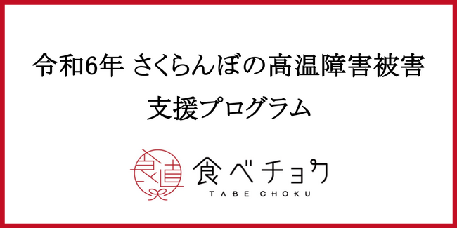 猛暑の影響で4,000万円規模の損害も。さくらんぼ農家支援プログラムを食べチョクが実施。昨年対比50%以上売上が減少した農家が約4割。