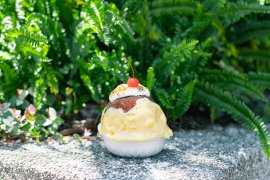 プリンかき氷(1)