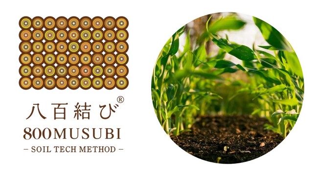 日本一のさつまいも集団「SAZANKA FARM（サザンカファーム）」が「八百結び(R)プロジェクト」へ協業参画・戦略的業務提携