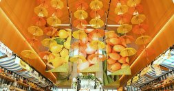 雨の日も楽しめるシーサイドレストラン＆マーケット「クラフトサーカス」 雨の日はさらにお得に！『レイニー割』7月下旬まで期間延長