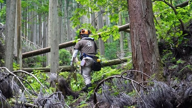 小5から参加可能！里山で道づくりとマキ割り＜兵庫県川西市＞