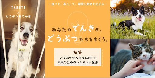 電気料金の支払いが動物福祉団体の寄付につながる、「どうぶつでんき」と「TABETE」が連携。コラボキャンペーンを7月1日(月)から開始。