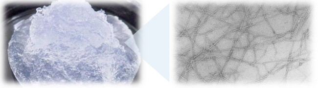 第一工業製薬のCNF「レオクリスタ」　シンポジウムや学会でご紹介します！