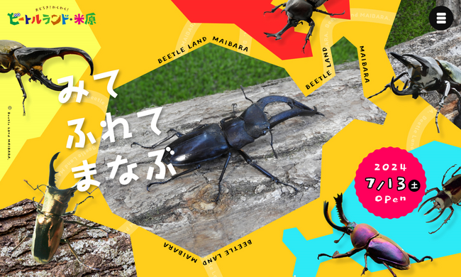 【世界の珍しいカブトムシやクワガタ】とふれあえる「ビートルランド・米原」を「7月13日」(土) に滋賀県米原市のグリーンパーク山東内にオープン！名誉館長には元プロ野球選手の「山本昌」さんが就任へ！