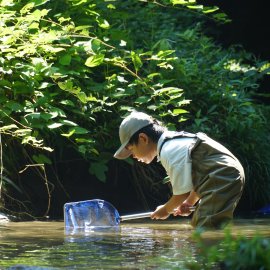 飛鳥いきもの調査隊「水辺トラップ」 飛鳥いきもの調査隊「水辺トラップ」