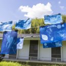 日光写真をつくろう 日光写真をつくろう