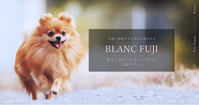 自然共生型ホテル「BLANC FUJI」でサウナ付きペットヴィラの予約受付開始 愛犬と宿泊可能に
