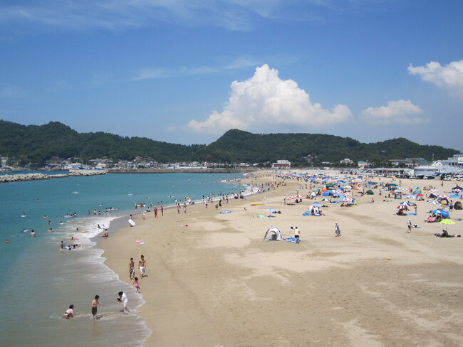 和歌山市で、海水浴場が開設されました！