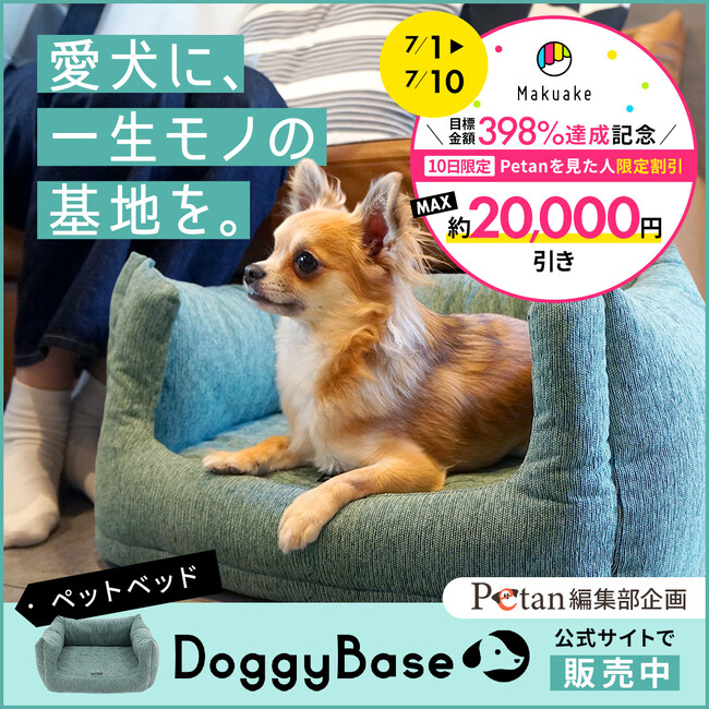 【期間限定】ペットベッドDoggyBase＜Makuake達成記念＞割引キャンペーンを実施