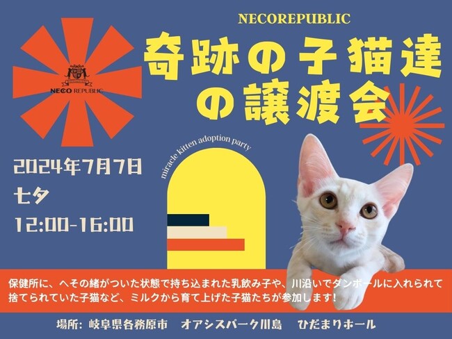パルボを乗り越えた！奇跡の子猫たちの譲渡会を７月７日にデビュー！運命の家族と出会う準備は整いました！岐阜最大級、子猫譲渡会オアシスパーク川島にて開催！