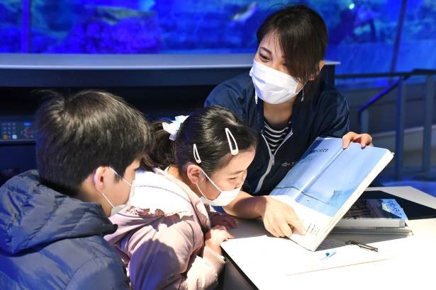 すみだ水族館「未来へ伝える　未来にのこす　AQTION!（アクション）」へ協賛のお知らせ
