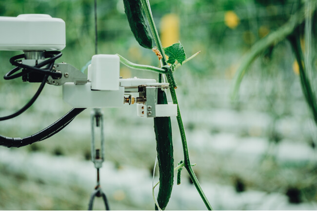 AI農業のAGRISTが次世代スマート農業パッケージを公民連携で推進することを目的にしたシリーズBラウンド資金調達を実施