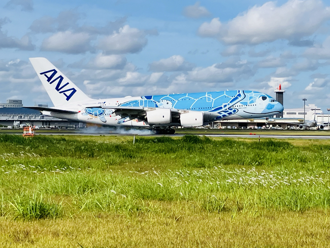 オープントップバスで飛行機が飛び立つ音をダイレクトに体感！大迫力と感動の瞬間を！スカイバスで巡る成田空港スペシャルバスツアー