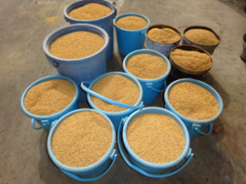 処理前もみ殻 処理前もみ殻