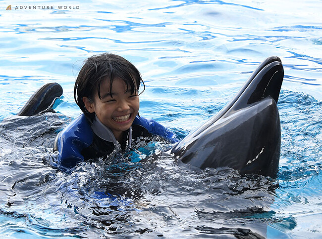イルカと泳ごう！ふれあいスイミングが５年ぶりにアップデートして再開「Swimming with Dolphin～Deep emotion～」を開催いたします！