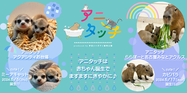 屋内型ふれあい動物園「アニタッチ」は赤ちゃん誕生でますますにぎやかに!