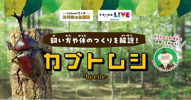 【Yahoo!きっず】「学研の図鑑LIVE」とコラボし“昆虫の王様”カブトムシについて詳しく学べるWeb図鑑を公開
